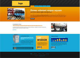 打造卓越数字形象 网站主页设计与开发的艺术与科学